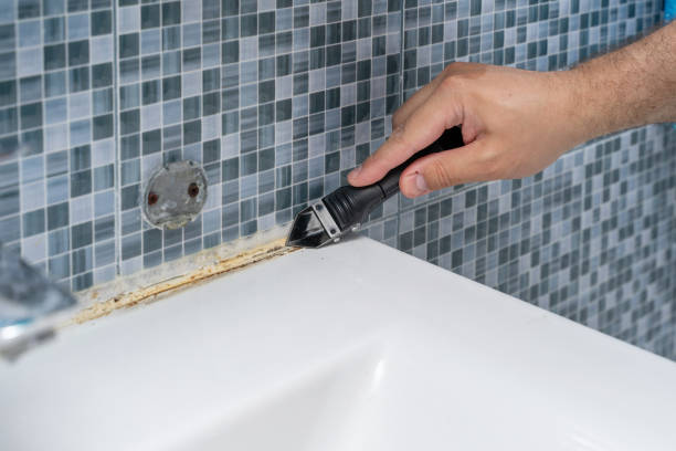 Best White Mold Remediation in Toledo, IA
